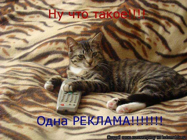 Ну что такое!!!! Одна РЕКЛАМА!!!!!!!... Котоматрица: Ну что такое!!!! Одна РЕКЛАМА!!!!!!!
