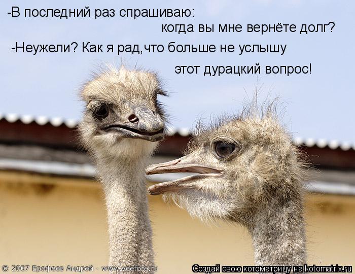 -В последний раз спрашиваю: когда вы мне вернёте долг? -Неужели? Как я рад,что больше не услышу этот... Котоматрица: -В последний раз спрашиваю: когда вы мне вернёте долг? -Неужели? Как я рад,что больше не услышу этот дурацкий вопрос!