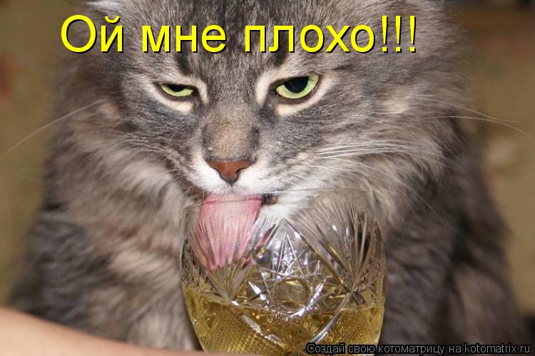 Ой мне плохо!!!... Котоматрица: Ой мне плохо!!!