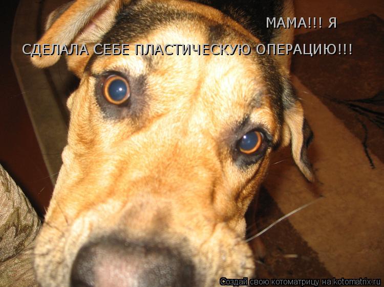 Котоматрица: МАМА!!! Я  СДЕЛАЛА СЕБЕ ПЛАСТИЧЕСКУЮ ОПЕРАЦИЮ!!!