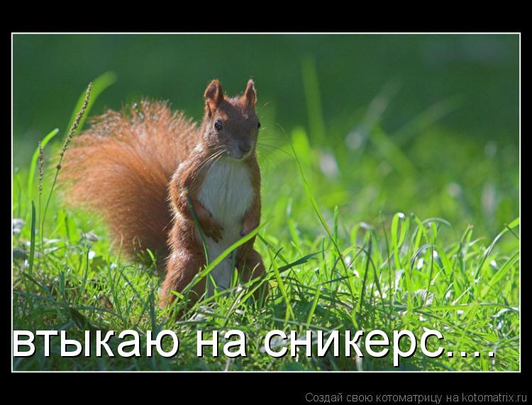 Котоматрица: втыкаю на сникерс....