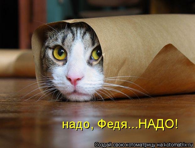 надо, Федя...НАДО!... Котоматрица: надо, Федя...НАДО!