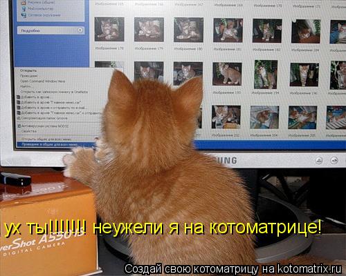 ух ты!!!!!!! неужели я на котоматрице!... Котоматрица: ух ты!!!!!!! неужели я на котоматрице!