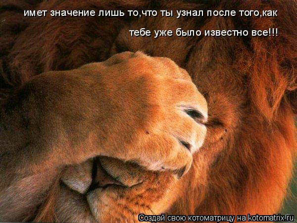 имет значение лишь то,что ты узнал после того,как тебе уже было известно все!!!... Котоматрица: имет значение лишь то,что ты узнал после того,как тебе уже было известно все!!!