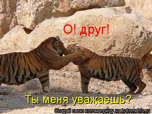 Ты меня уважаешь? О! друг!... Котоматрица: Ты меня уважаешь? О! друг!