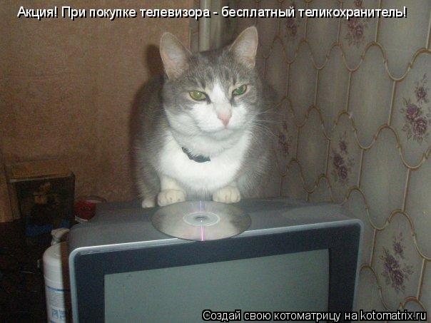 Котоматрица: Акция! При покупке телевизора - бесплатный теликохранитель!