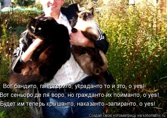 Вот бандито, гангстерито, украданто то и это, о yes! Вот сеньоро де ля воро, но гражданто их пойманто... Котоматрица: Вот бандито, гангстерито, украданто то и это, о yes! Вот сеньоро де ля воро, но гражданто их пойманто, o yes! Будет им теперь крышанто, наказанто -з