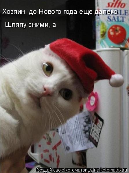 Хозяин, до Нового года еще далеко Шляпу сними, а... Котоматрица: Хозяин, до Нового года еще далеко Шляпу сними, а