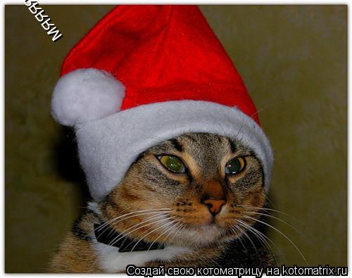 мяяяяяяяяяяяяяу... Котоматрица: мяяяяяяяяяяяяяу