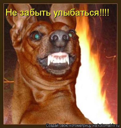Не забыть улыбаться!!!!... Котоматрица: Не забыть улыбаться!!!!