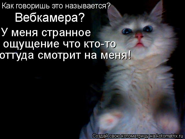 Как говоришь это называется? Вебкамера? У меня странное ощущение что кто-то оттуда смотрит на меня!... Котоматрица: Как говоришь это называется? Вебкамера? У меня странное ощущение что кто-то оттуда смотрит на меня!