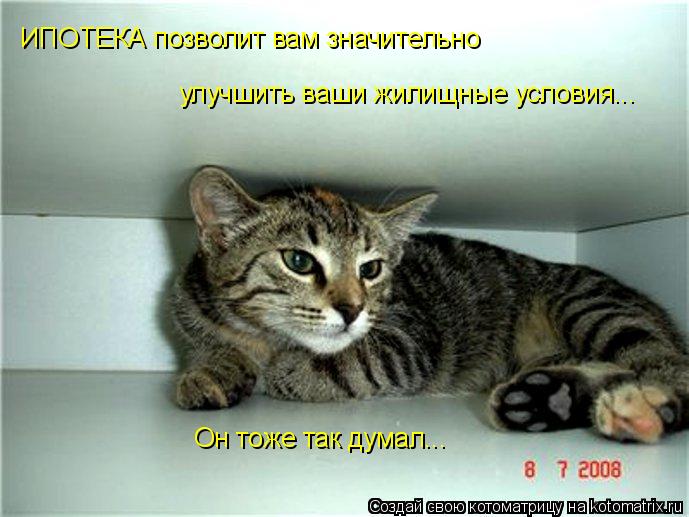 ИПОТЕКА позволит вам значительно улучшить ваши жилищные условия... Он тоже так думал...... Котоматрица: ИПОТЕКА позволит вам значительно улучшить ваши жилищные условия... Он тоже так думал...