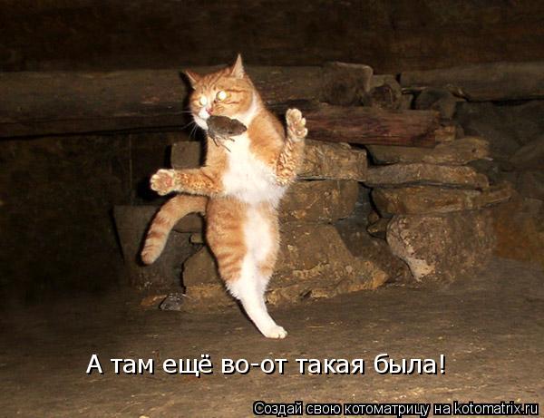 А там ещё во-от такая была!... Котоматрица: А там ещё во-от такая была!