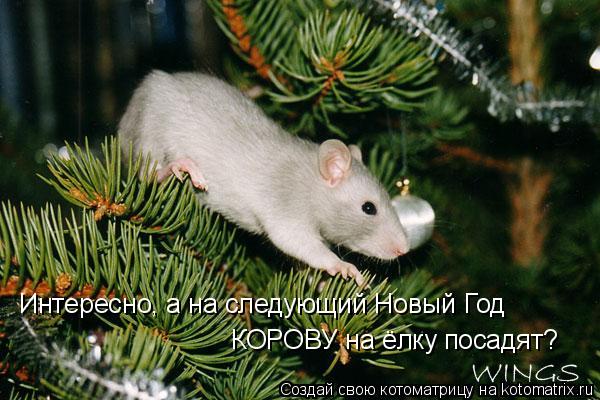 Интересно, а на следующий Новый Год КОРОВУ на ёлку посадят?... Котоматрица: Интересно, а на следующий Новый Год КОРОВУ на ёлку посадят?