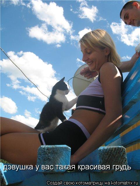 дэвушка у вас такая красивая грудь... Котоматрица: дэвушка у вас такая красивая грудь