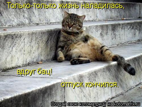 Только-только жизнь наладилась, вдруг бац! отпуск кончился.... Котоматрица: Только-только жизнь наладилась, вдруг бац! отпуск кончился.