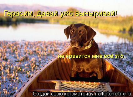 Герасим, давай ужо выныривай! не нравится мне всё это..... Котоматрица: Герасим, давай ужо выныривай! не нравится мне всё это..