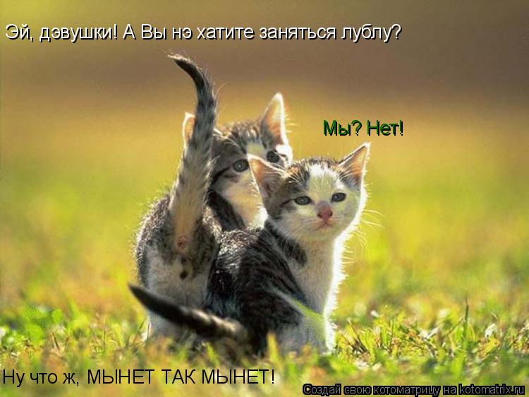 Эй, дэвушки! А Вы нэ хатите заняться лублу? Мы? Нет! Ну что ж, МЫНЕТ ТАК МЫНЕТ!... Котоматрица: Эй, дэвушки! А Вы нэ хатите заняться лублу? Мы? Нет! Ну что ж, МЫНЕТ ТАК МЫНЕТ!