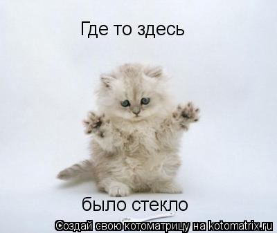 Где то здесь было стекло... Котоматрица: Где то здесь было стекло