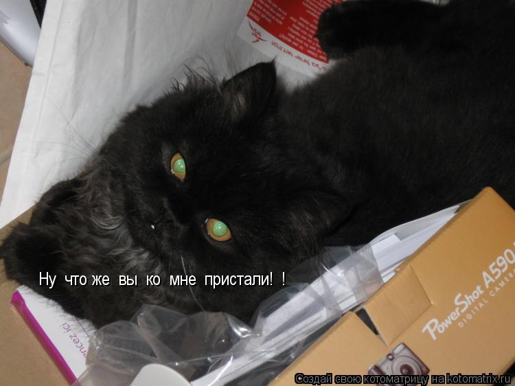 Котоматрица: Ну  что же  вы  ко  мне  пристали!  !