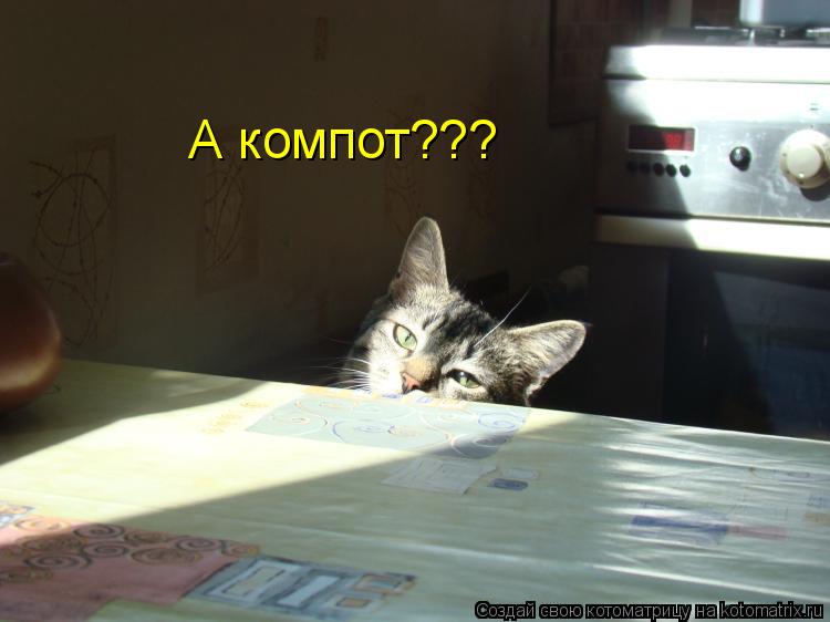 Котоматрица: А компот???