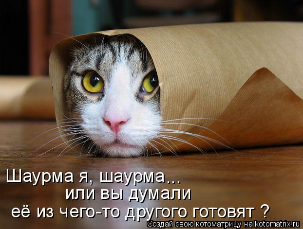 Шаурма я, шаурма или вы думали её из чего-то другого готовят ? ...... Котоматрица: Шаурма я, шаурма или вы думали её из чего-то другого готовят ? ...