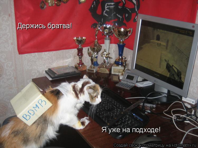 Держись братва! Я уже на подходе!... Котоматрица: Держись братва! Я уже на подходе!