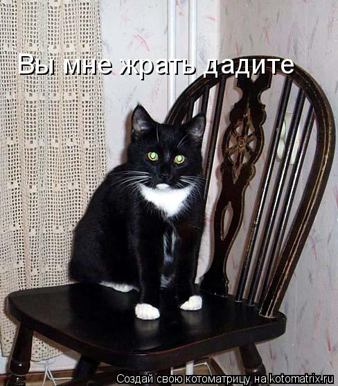 Котоматрица: Вы мне жрать дадите