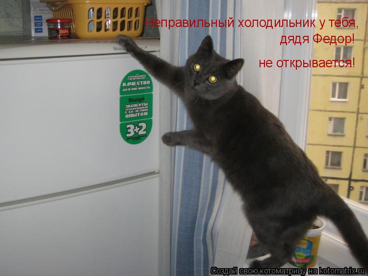Котоматрица: Неправильный холодильник у тебя,  Неправильный холодильник у тебя,  дядя Федор! не открывается!