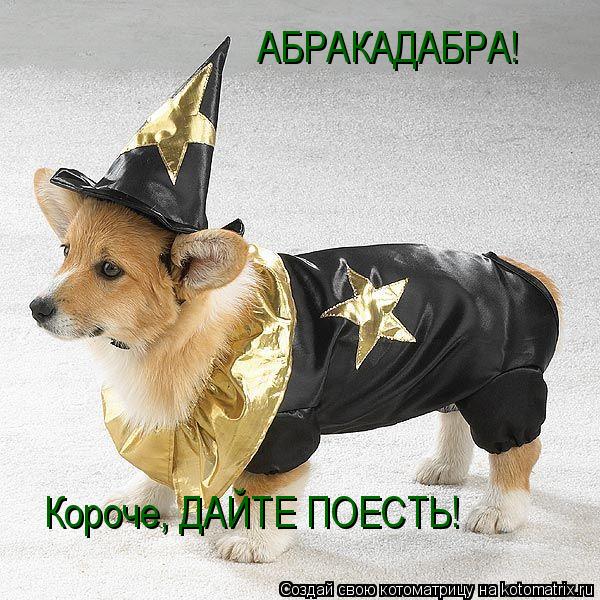 АБРАКАДАБРА! Короче, ДАЙТЕ ПОЕСТЬ!... Котоматрица: АБРАКАДАБРА! Короче, ДАЙТЕ ПОЕСТЬ!