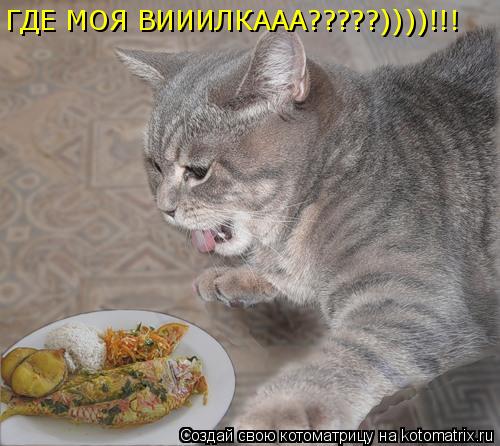 ГДЕ МОЯ ВИИИЛКААА?????))))!!!... Котоматрица: ГДЕ МОЯ ВИИИЛКААА?????))))!!!