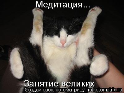 Медитация... Занятие великих... Котоматрица: Медитация... Занятие великих