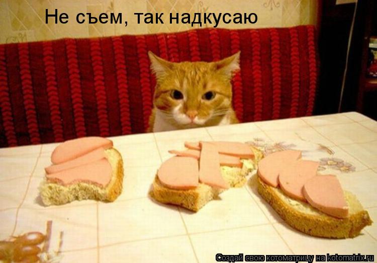 Котоматрица: Не съем, так надкусаю