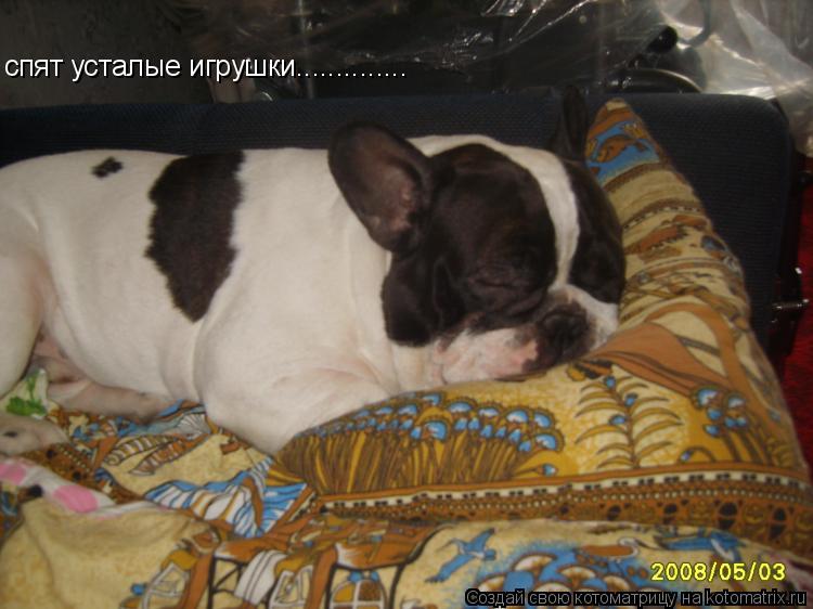 спят усталые игрушки................. Котоматрица: спят усталые игрушки..............