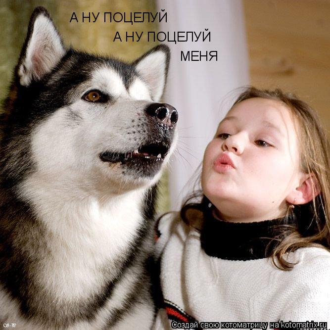 А НУ ПОЦЕЛУЙ А НУ ПОЦЕЛУЙ МЕНЯ... Котоматрица: А НУ ПОЦЕЛУЙ А НУ ПОЦЕЛУЙ МЕНЯ