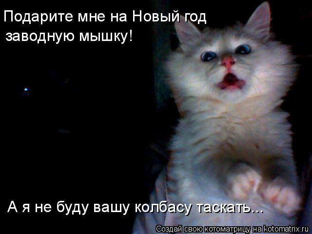 Подарите мне на Новый год заводную мышку! А я не буду вашу колбасу таскать...... Котоматрица: Подарите мне на Новый год заводную мышку! А я не буду вашу колбасу таскать...