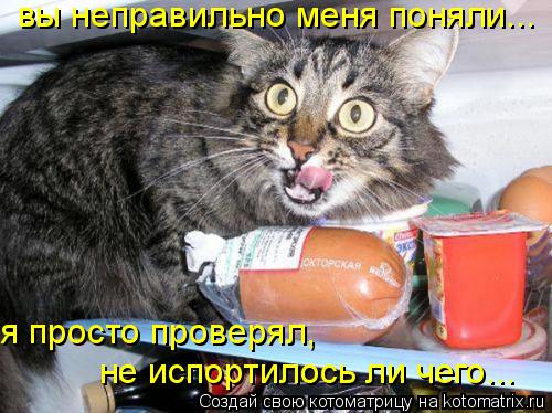 вы неправильно меня поняли... я просто проверял, не испортилось ли чего...... Котоматрица: вы неправильно меня поняли... я просто проверял, не испортилось ли чего...