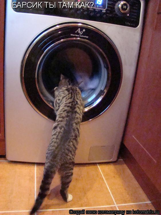 БАРСИК ТЫ ТАМ КАК?... Котоматрица: БАРСИК ТЫ ТАМ КАК?