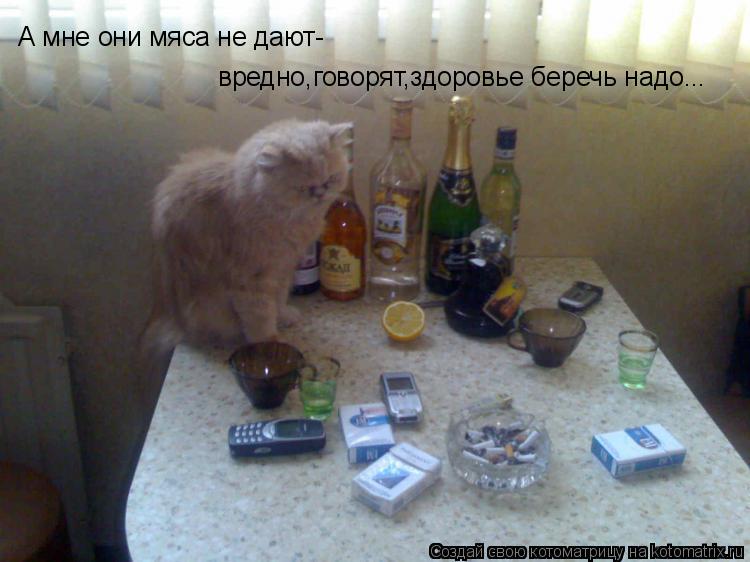 А мне они мяса не дают- вредно,говорят,здоровье беречь надо...... Котоматрица: А мне они мяса не дают- вредно,говорят,здоровье беречь надо...