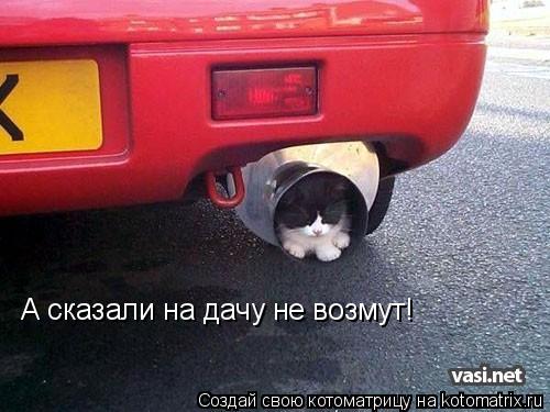 А сказали на дачу не возмут!... Котоматрица: А сказали на дачу не возмут!