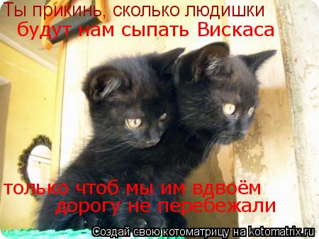 Ты прикинь, сколько людишки только чтоб мы им вдвоём дорогу не перебежали будут нам сыпать Вискаса... Котоматрица: Ты прикинь, сколько людишки только чтоб мы им вдвоём дорогу не перебежали будут нам сыпать Вискаса