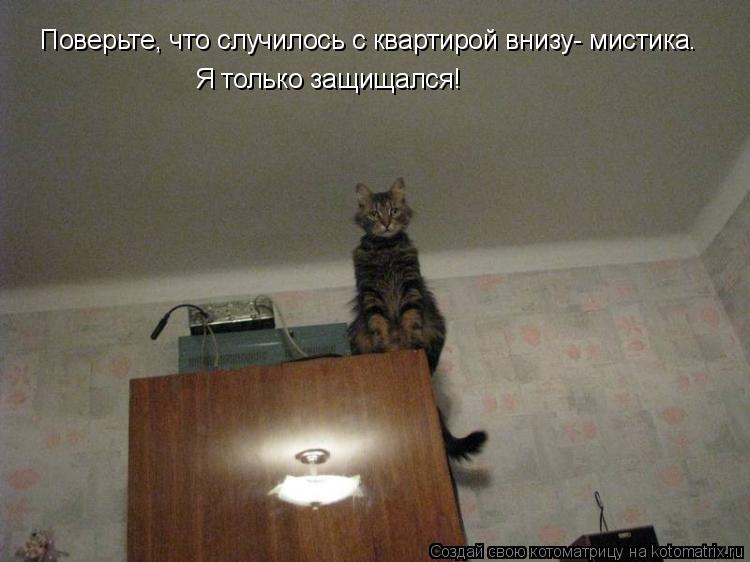 Котоматрица: Поверьте, что случилось с квартирой внизу- мистика. Я только защищался!