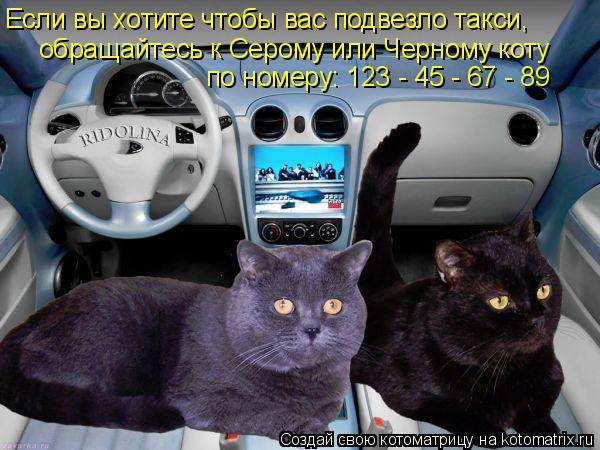 Если вы хотите чтобы вас подвезло такси, обращайтесь к Серому или Черному коту по номеру: 123 - 45 - ... Котоматрица: Если вы хотите чтобы вас подвезло такси, обращайтесь к Серому или Черному коту по номеру: 123 - 45 - 67 - 89