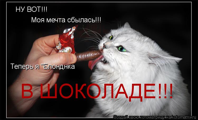 НУ ВОТ!!! Моя мечта сбылась!!! Теперь я "Блонднка В ШОКОЛАДЕ!!!... Котоматрица: НУ ВОТ!!! Моя мечта сбылась!!! Теперь я "Блонднка В ШОКОЛАДЕ!!!