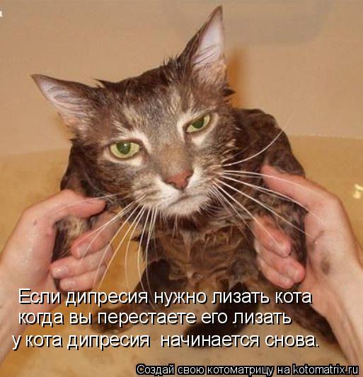 Если дипресия нужно лизать кота когда вы перестаете его лизать у кота дипресия начинается снова.... Котоматрица: Если дипресия нужно лизать кота когда вы перестаете его лизать у кота дипресия начинается снова.