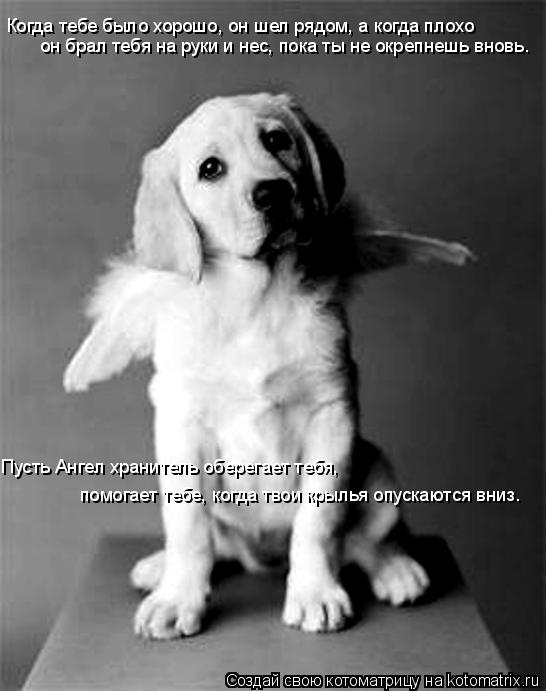 Когда тебе было хорошо, он шел рядом, а когда плохо он брал тебя на руки и нес, пока ты не окрепнешь... Котоматрица: Когда тебе было хорошо, он шел рядом, а когда плохо он брал тебя на руки и нес, пока ты не окрепнешь вновь. Пусть Ангел хранитель оберегает те