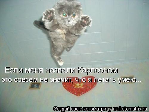 Если меня назвали Карлсоном это совсем не значит, что я летать умею...... Котоматрица: Если меня назвали Карлсоном это совсем не значит, что я летать умею...