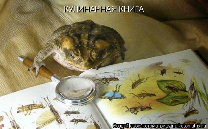КУЛИНАРНАЯ КНИГА... Котоматрица: КУЛИНАРНАЯ КНИГА