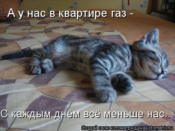А у нас в квартире газ - С каждым днём всё меньше нас...... Котоматрица: А у нас в квартире газ - С каждым днём всё меньше нас...