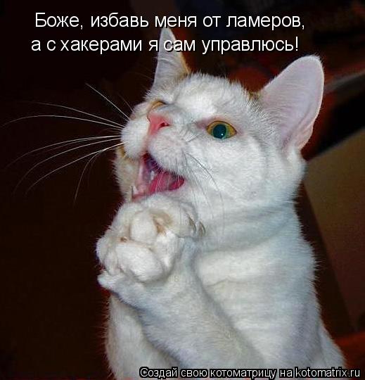 Боже, избавь меня от ламеров, а с хакерами я сам управлюсь!... Котоматрица: Боже, избавь меня от ламеров, а с хакерами я сам управлюсь!